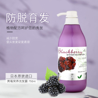 300mL 日诗甜美黑莓营养生发洗发水男女士防脱发掉头发增发密发洗发露乳