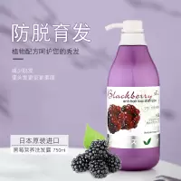 300mL 日诗甜美黑莓营养生发洗发水男女士防脱发掉头发增发密发洗发露乳