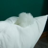 饱满抱枕芯 40x40cm适合35枕套280克 抱枕芯方芯沙发枕套芯靠垫芯十字绣芯糖果枕芯子羽丝绒大号腰枕芯