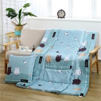 小猫咪 中号特价款100*150 折叠抱枕被子两用二合一枕头冬季加厚大号小被子汽车沙发靠垫