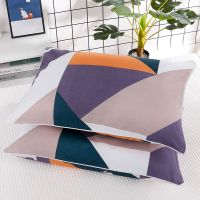 彩色方块(拉链款) 舒适枕套二个装40*60(没有枕芯) 枕头套装单人一只枕头带枕套可拆洗学生成人护颈枕头芯套装一对装