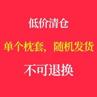 随机颜色【库存枕套】 芦荟棉枕头套1个【没有枕芯】 枕头一对单人学生宿舍可爱成人家用护颈椎枕芯带枕套男女生一只装