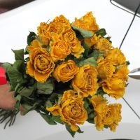 单头金枝玉叶9个花头 玫瑰干花天然烤干干花多头真花风干拍摄花束北欧家居装饰蔷薇干花