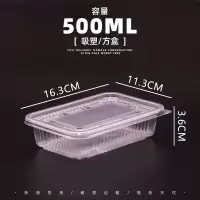 300套(带盖) 500ML-透明 长方形一次性餐盒塑料外卖打包盒子加厚透明炒粉快餐便当饭盒带盖