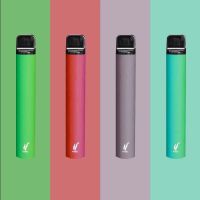 薄荷味一支(600口) 电子戒吸棒学生果味一次性草本气雾棒修正液雾化神器智能戒器真的