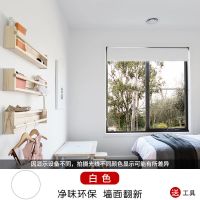 纯白[防裂净味型] 500g 乳胶漆油漆室内家用彩色墙面粉刷墙漆无味白色内墙漆自刷环保涂料