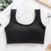 气质黑(1件装升级款) M(100斤以内) 顶瓜瓜聚拢上托吊带美背心无钢圈一体式收副乳内衣运动防震抹胸罩