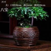 江城水韵大号(福利款) 大 紫砂花盆君子兰花盆室内盆栽盆景盆花盆陶瓷大号特大号中国风客厅