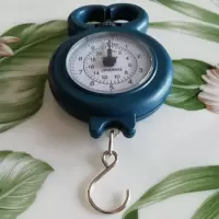 弹簧秤家用便携式多功能10kg手提秤买菜秤口袋秤迷你快递秤10公斤