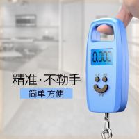 手提秤50公斤电子秤充电便携式弹簧秤小型家用称菜快递称重器