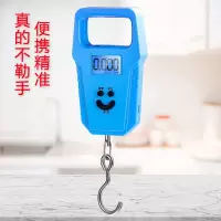 手提秤50公斤电子秤充电便携式弹簧秤小型家用称菜快递称重器