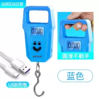 称重手提电子秤50kg便携式家用手提秤小型高精度弹簧秤快递称小秤