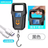 称重手提电子秤50kg便携式家用手提秤小型高精度弹簧秤快递称小秤