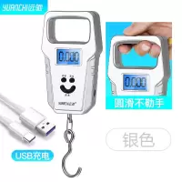 称重手提电子秤50kg便携式家用手提秤小型高精度弹簧秤快递称小秤