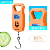 称重手提电子秤50kg便携式家用手提秤小型高精度弹簧秤快递称小秤