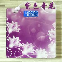 usb家用充电电子称体重秤女宿舍成人健康人体秤称重器计