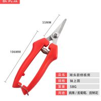 修枝剪刀花艺剪刀摘果剪插花鲜花修花剪枝剪刀花艺师园艺剪子|*小号蔬果剪+弹簧 二把装[优惠]