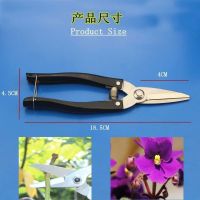 修枝剪刀花艺剪刀摘果剪插花鲜花修花剪枝剪刀花艺师园艺剪子|*黑色大号修枝剪+备用弹簧 一把装