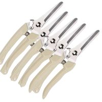 不锈钢树枝修枝剪摘水果花木剪刀园林果树花卉枝嫁接园艺剪刀工具|直头5把