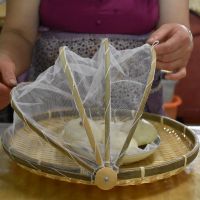 竹编制品防虫苍蝇灰尘筐小馒头水果干货晾晒收纳筐整理纱网饭菜罩