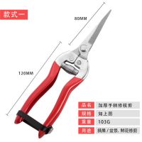 修枝剪刀花艺剪刀摘果剪插花鲜花修花剪枝剪刀花艺师园艺剪子|*升级款铁柄蔬果剪+弹簧[推荐] 一把装