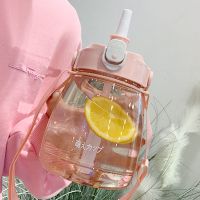 水杯女大容量夏天可爱吸管塑料杯2021新款耐高温杯子
