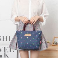 手提包女小包便当饭盒袋防水新款女包大容量小布包士拎上班妈妈包