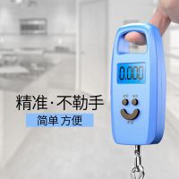 称重手提电子秤50kg便携式家用手提秤小型高精度弹簧秤快递称小秤