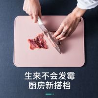 菜板切菜板家用防霉多功能水果砧板水果刀宿舍小案板塑料粘板
