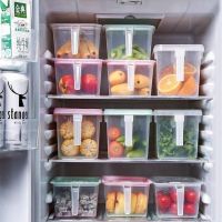 冰箱收纳盒五谷杂粮收纳水果冷冻食物防串味保鲜盒塑料厨房储物盒