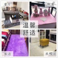 加厚地毯卧室可爱少女房间满铺ins风床边毯客厅茶几家用地垫