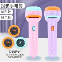 投影手电筒 发光玩具手电玩具早教识图 恐龙图案动物图案儿童玩具