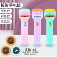 投影手电筒 发光玩具手电玩具早教识图 恐龙图案动物图案儿童玩具
