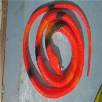 仿真橡胶蛇儿童玩具模型 软胶假 蛇整人恶搞整蛊吓人