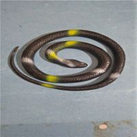 仿真橡胶蛇儿童玩具模型 软胶假 蛇整人恶搞整蛊吓人