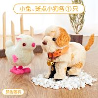 跳跳小鸡上链发条毛绒小狗动物创意儿童玩具宝宝男孩女孩|小兔1只+斑点小狗1只
