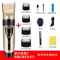 极货飞科理发器电动剃头刀电推子理发器配件全家通用|标配+锂电池+礼包