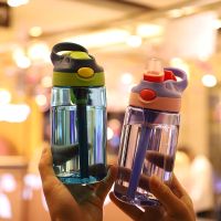 宝宝水杯幼儿园饮水杯带吸管儿童防摔漏吸管杯小孩鸭嘴杯水壶女童