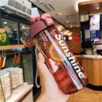 水杯女学生韩版简约塑料杯男带吸管大容量便携健身防摔杯子