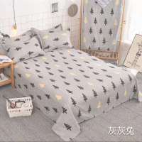 床单单件简约时尚亲肤磨毛单双人床单学生多规格四季通用