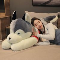 哈士奇毛绒玩具狗公仔床上玩偶睡觉抱枕布娃娃儿童女生生日礼物男