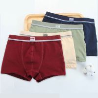 中大童儿童内裤男童平角裤棉大童短裤青少年学生短裤男孩四角裤