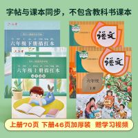 四五六年级上册下册语文练字帖本楷书小学生描红本四年级英语字帖|六年级上下册 英语字帖[赠练字大礼包]