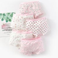 女童内裤棉平角儿童内裤三角裤中大童四角10小女孩13宝宝短裤白