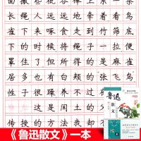 成人楷书临摹练字帖大学生钢笔字贴中学生正楷速成描红本成年练习|鲁迅散文一本(无赠品)