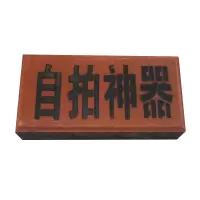 恶搞怪笑整蛊惊喜沙雕别真砖头砖块生日礼物送男生女生|自拍神器 板砖+彩纸