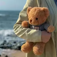 泰迪熊毛绒玩具熊猫公仔布娃娃抱抱熊圣诞元旦送女友女生生日礼物