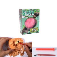 儿童玩具考古挖掘恐龙diy恐龙蛋火烈鸟企鹅动物玩具 科普模型|盒装考古考拉1个