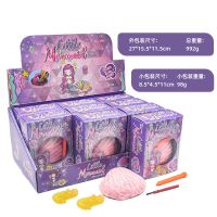 儿童玩具考古挖掘恐龙diy恐龙蛋火烈鸟企鹅动物玩具 科普模型|盒装考古贝壳12个