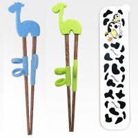 成人训练筷儿童筷子家用 6到12婴儿学习筷2-3-4岁宝宝矫正器大人|蓝绿小鹿两双装+收纳盒